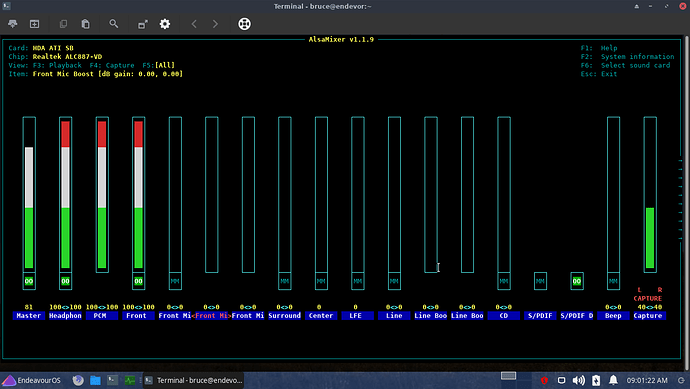 alsamixer_F6_all