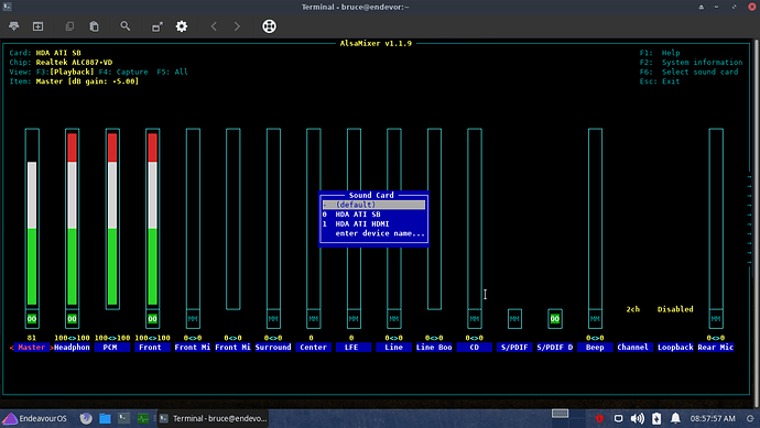 alsamixer_F6