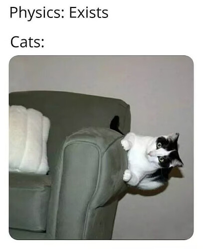 physicsexitscats