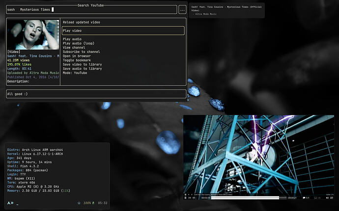 bspwm_M2_Arch-2026-01-05_05-35