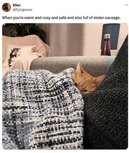 catwarmandcozy