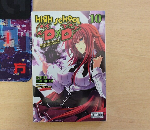 Highschool DxD LN 10 Front