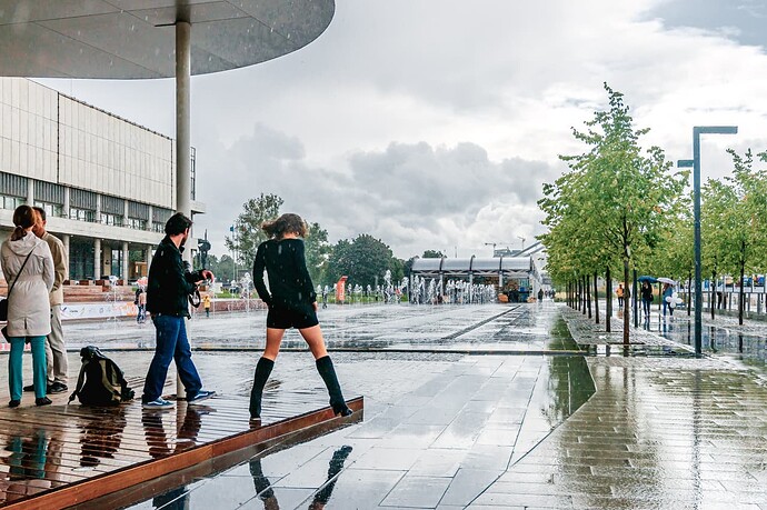 into-the-rain