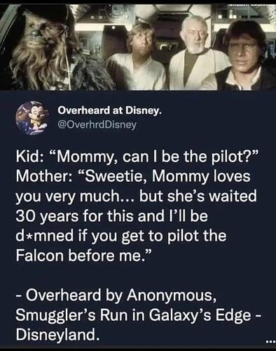 pilotfalcon