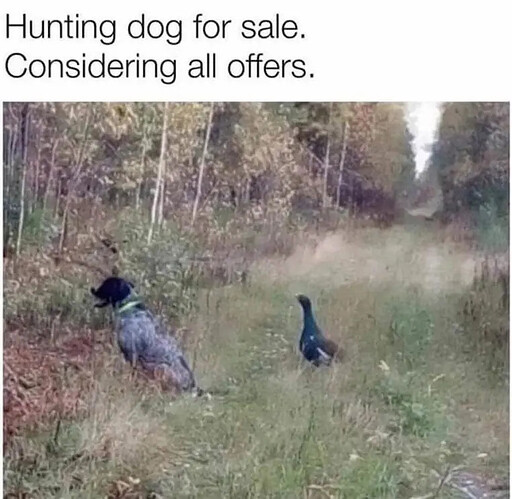 huntingdog