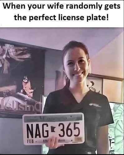 perfectlicenseplate