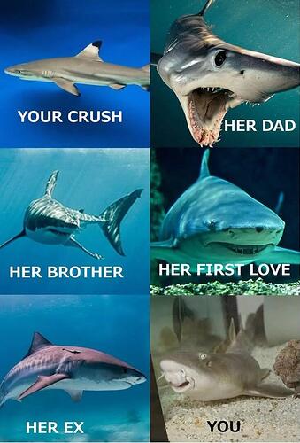 sharks