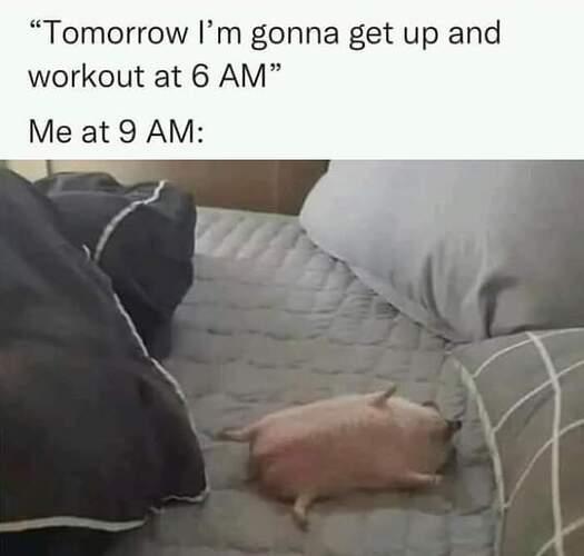 FB_IMG_1681863890412