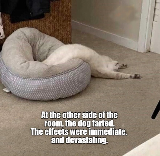 FB_IMG_1765886176935