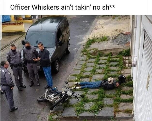 officerwhiskers