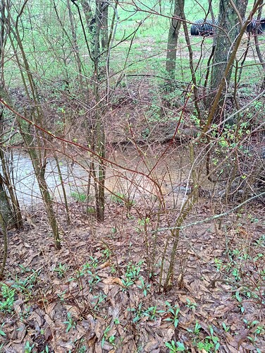 IMG_20250405_091533771_HDR