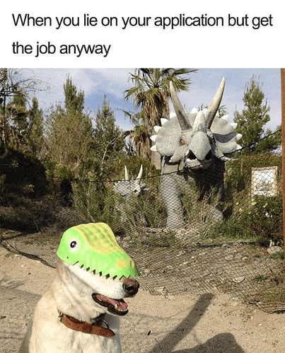 lie-on-application-but-get-job-anyway-res