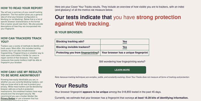 BrowserTestResults