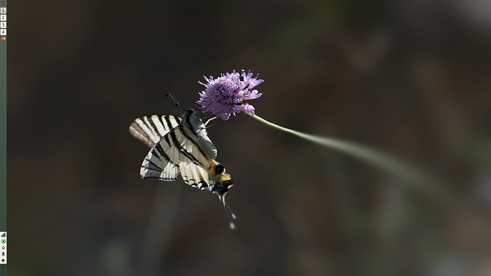 Captura de pantalla de 2022-12-01 12-11-54