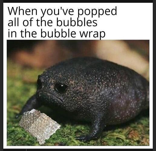 poppedbubblewrap
