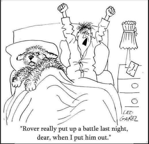 FB_IMG_1694305065751