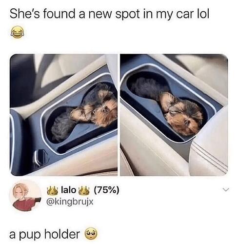 pupholder