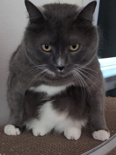 IMG_20251026_115609_214