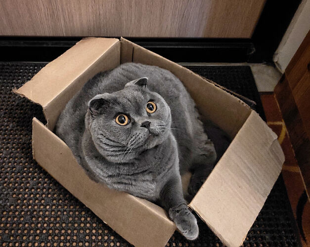 IMG_20230514_162243-01