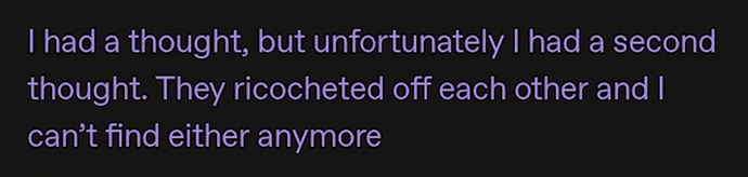but-unfortunately-had-second-thought-they-ricocheted-off-each-other-and-cant-find-either-anymore
