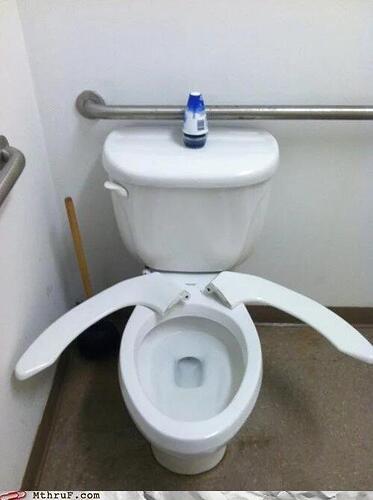 splittoiletseat