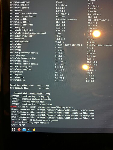 Errors during update - Kernel, boot, graphics & hardware - EndeavourOS