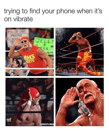 trying-find-phone-s-on-vibrate-one-jelly-hulks-rues-ce-wrestling