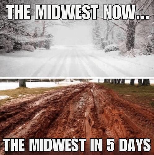 midwestnowlater