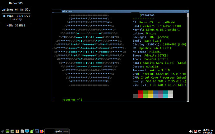 rebornScreenshot_2025-08-12_20-49-58