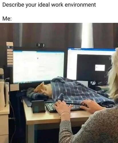 idealworkenvironment