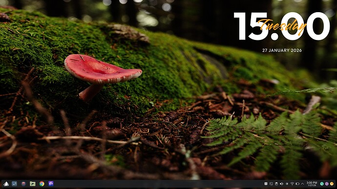 2026-01-27 Solejana-clean