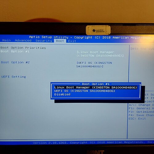 dual-boot-doesn-t-work-endeavouros-installation-endeavouros