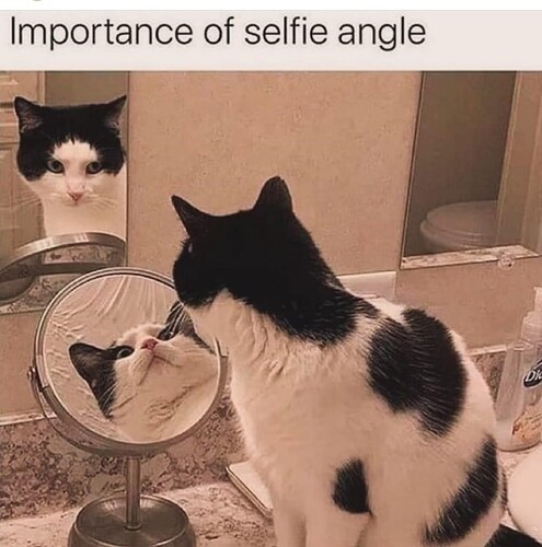 importance-selfie-angle-dk