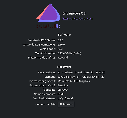 Captura de imagem_20250724_235011