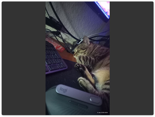 Screenshot_20251214_030940