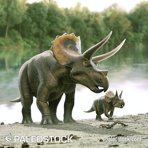 Triceratops-with-its-calf-stock-photo-2383542105