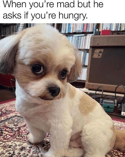 madbuthungry