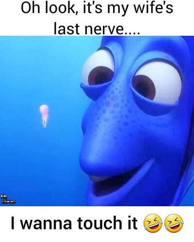 lastnerve