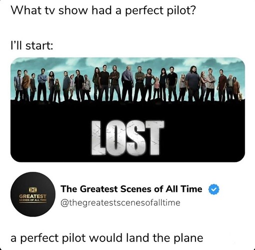 ThePerfectPilot