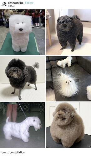 dogcuts