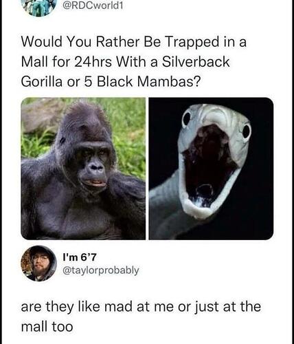 trappedinmall