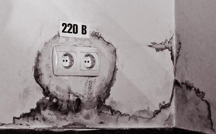 2011.06.18_IMG_7464_LR