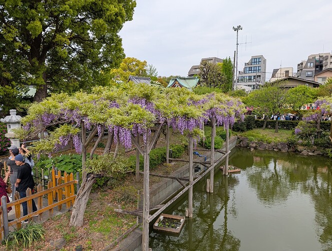 PXL_20250420_051157451