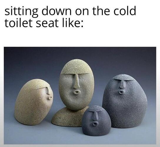 coldtoiletseat