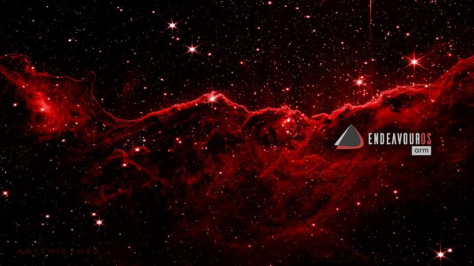 NEO-JWST-ARM