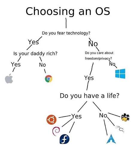 choosingos