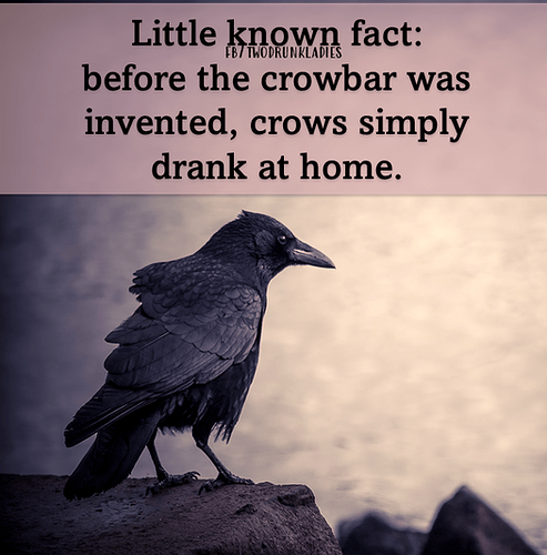 299931208_5529222530478252_8521294930379200689_n