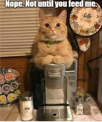 Screensho_20250207_174857