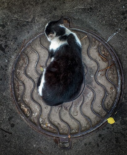 2012.07.22_DSC_0006_LR