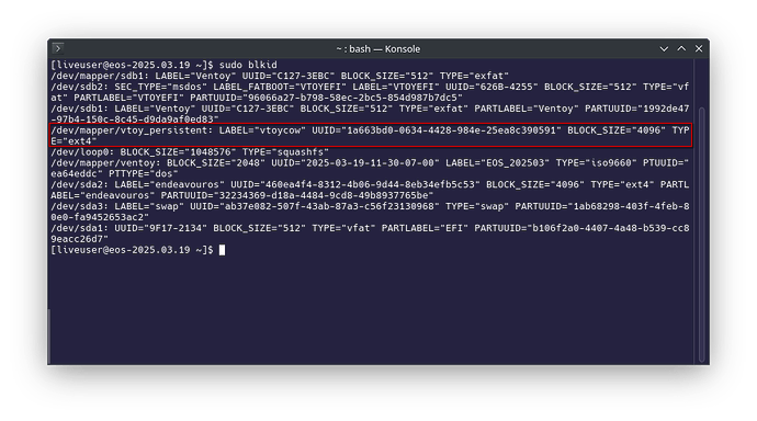 vtoy_persistent_blkid